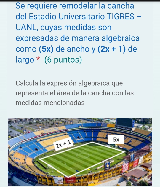 Se requiere remodelar la cancha
del Estadio Universitario TIGRES -
UANL, cuyas medidas son
expresadas de manera algebraica
como (5) ( de ancho y (2x+1) de
largo * (6 puntos)
Calcula la expresión algebraica que
representa el área de la cancha con las
medidas mencionadas