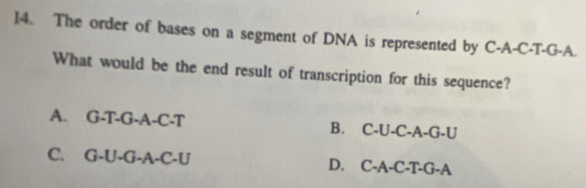 The order of bases on a segment of DNA is represented by C-A-C-T-G-A.
What would be the end result of transcription for this sequence?
A. G-T-G-A-C-T B. C-U-C-A-G-U
C. G-U-G-A-C-U D. C -△ -( C-T-G-A