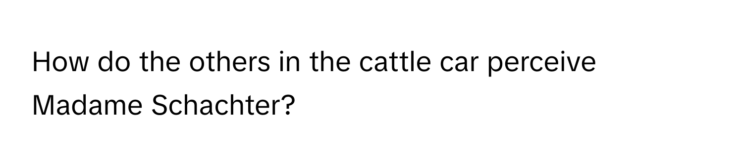 How do the others in the cattle car perceive Madame Schachter?