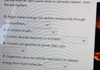 tiue whether each event adds or removes carbon Trom 
the atmosphere. 
3. Algae makes energy-rich carbon compounds through 
photosynthesis. 
4. A volcano erupts. 
5. Carbon dioxide dissolves in rainwater. 
6. Humans use gasoline to power their cars. 
7. Organisms carry out cellular respiration to release 
energy from food molecules.