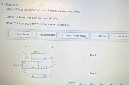 Directions
Drag and drop the correct answer choice to each answer blank.
Correctly label the components of DNA.
Move the correct answer to represent each box.
Phosphate Ribose sugar Deoxyribose suga Base pair Nucleatide
5° 3'
_ 0* 1 
Box 1:
T A
80* 2
G C
Box 2:
C G