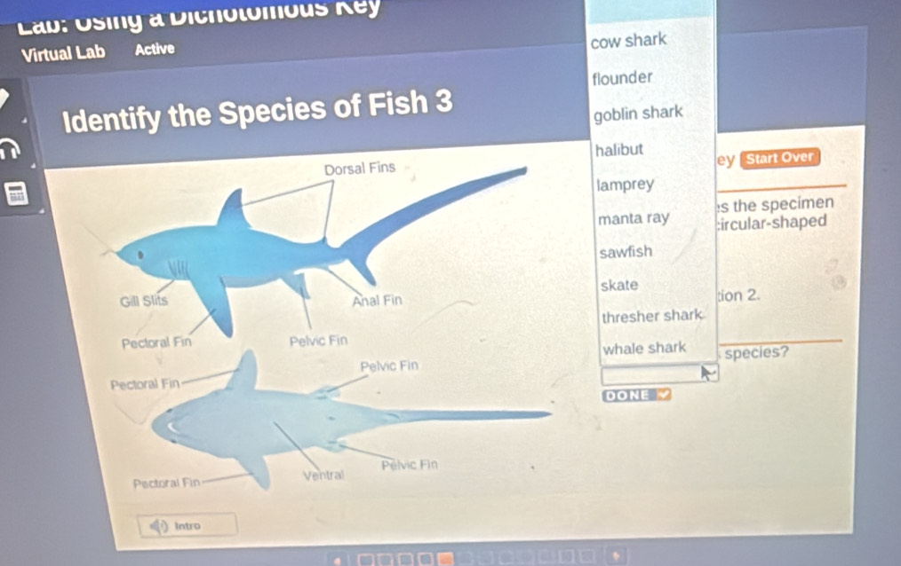 ab: Osing a Dichotomous Key 
Virtual Lab Active 
cow shark 
flounder 
Identify the Species of Fish 3 
goblin shark 
halibut 
ey Start Over 
lamprey 
s the specimen 
manta ray ;ircular-shaped 
sawfish 
skate tion 2. 
thresher shark 
whale shark 
species? 
DONE 
) Intro 
、