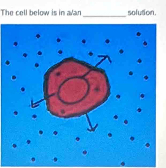 The cell below is in a/an_ solution.