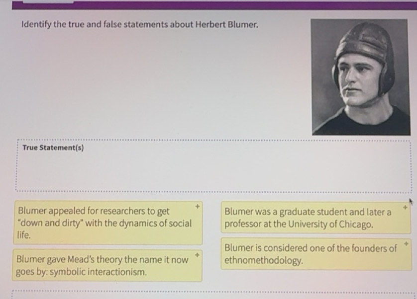 Solved: Identify the true and false statements about Herbert Blumer ...