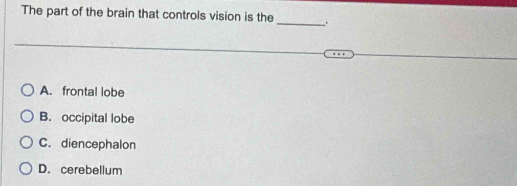 The part of the brain that controls vision is the _.
A. frontal lobe
B. occipital lobe
C. diencephalon
D. cerebellum