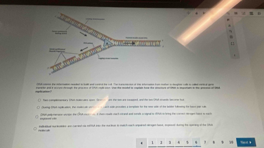 DNA stores the information needed to build and control the cell. The transmission of this information from mother to daughtr cells is called verical gire 
pransfer and i occurs through the process of DNA replication. Use the model to explain how the structure of DNA is important in the process of DNA 
replication? 
Two complementary DNA molecules open. Strans " om the two are swapped, and the two DNA strands become four 
During DNA replication, the molecule un __ each side provides a template for the new side of the ladder following the base pair rule 
DNA polymerase unzips the DNA moleculs. It then reads each strand and sends a signal to tRNA to bring the correct nitrogen base to each 
exposed site 
Individual nucleotides are carried via mRNA into the nucleus to match each unpaired nitrogen base, exposed during the opening of the DNA 
molecule
1 2 3 4 5 6 7 B 9 10 Next 、