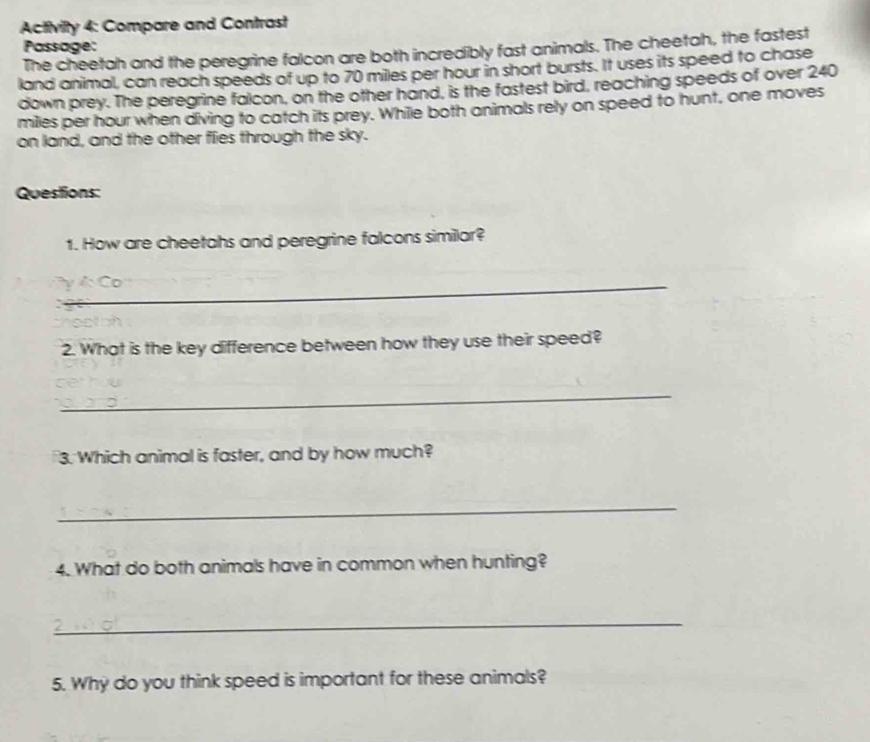 Activity 4: Compare and Contrast 
Passage: 
The cheetah and the peregrine falcon are both incredibly fast animals. The cheetah, the fastest 
land animal, can reach speeds of up to 70 miles per hour in short bursts. It uses its speed to chase 
down prey. The peregrine falcon, on the other hand, is the fastest bird, reaching speeds of over 240
miles per hour when diving to catch its prey. While both animals rely on speed to hunt, one moves 
on land, and the other flies through the sky. 
Questions: 
1. How are cheetahs and peregrine falcons similar? 
_ 
2. What is the key difference between how they use their speed? 
_ 
3. Which animal is faster, and by how much? 
_ 
4. What do both animals have in common when hunting? 
_ 
5. Why do you think speed is important for these animals?
