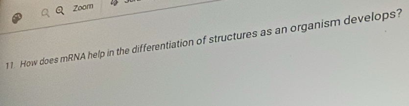 Zoom 
11. How does mRNA help in the differentiation of structures as an organism develops?