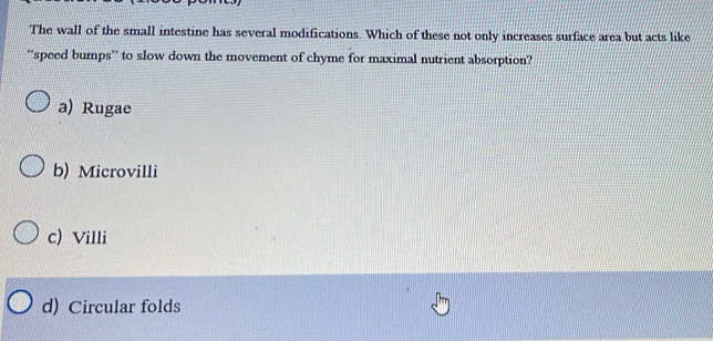 The wall of the small intestine has several modifications. Which of these not only increases surface area but acts like
“speed bumps” to slow down the movement of chyme for maximal nutrient absorption?
a) Rugae
b) Microvilli
c) Villi
d) Circular folds