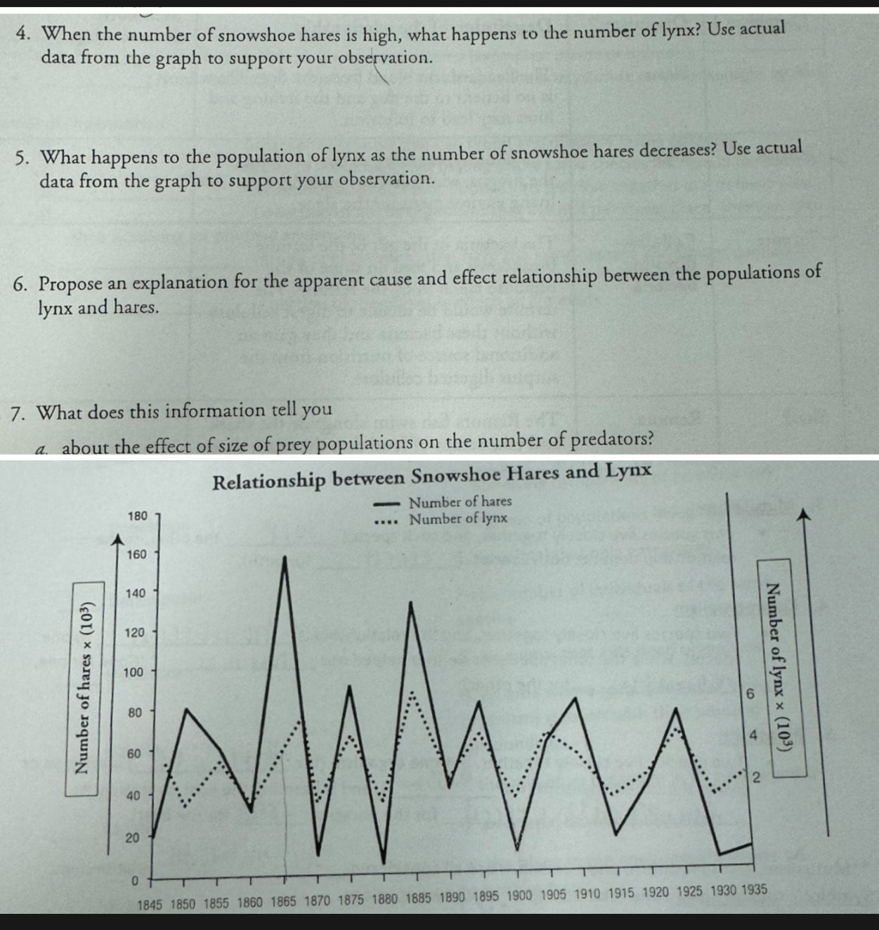 When the number of snowshoe hares is high, what happens to the number of lynx? Use actual 
data from the graph to support your observation. 
5. What happens to the population of lynx as the number of snowshoe hares decreases? Use actual 
data from the graph to support your observation. 
6. Propose an explanation for the apparent cause and effect relationship between the populations of 
lynx and hares. 
7. What does this information tell you 
a. about the effect of size of prey populations on the number of predators? 
Relationship between Snowshoe Hares and Lynx 
1845 1850 1855