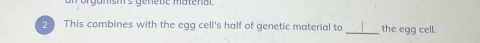 msm's genetic matenal. 
2 This combines with the egg cell's half of genetic material to_ the egg cell.