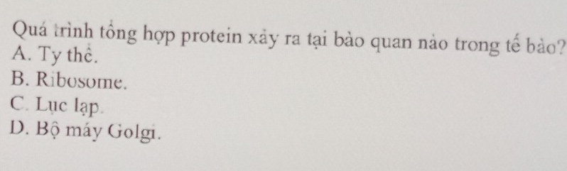 Quá trình tổng hợp protein xảy ra tại bào quan nào trong tế bảo?
A. Ty thể.
B. Ribosome.
C. Lục lạp.
D. Bộ máy Golgi.