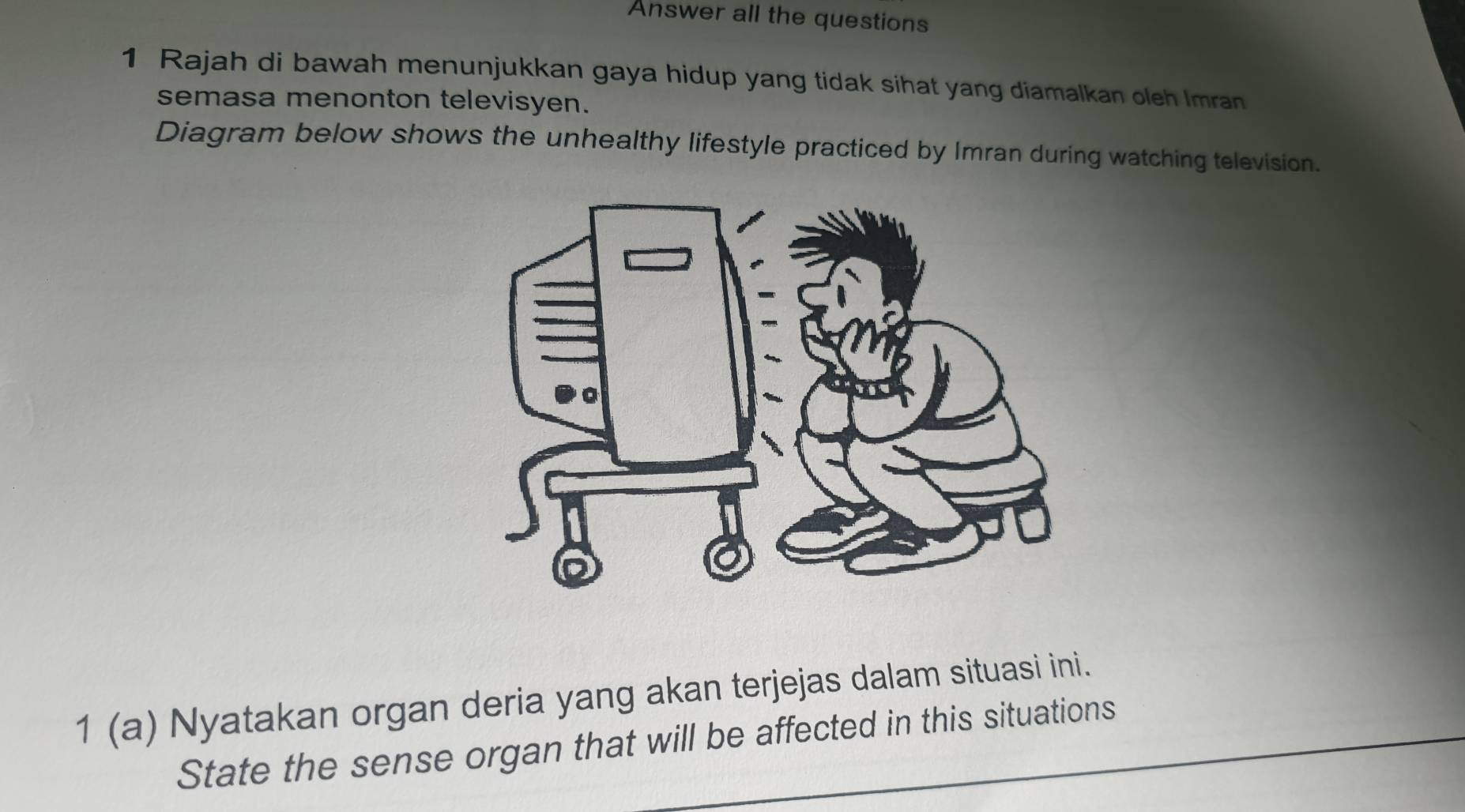 Answer all the questions 
1 Rajah di bawah menunjukkan gaya hidup yang tidak sihat yang diamalkan oleh Imran 
semasa menonton televisyen. 
Diagram below shows the unhealthy lifestyle practiced by Imran during watching television. 
1 (a) Nyatakan organ deria yang akan terjejas dalam situasi ini. 
State the sense organ that will be affected in this situations