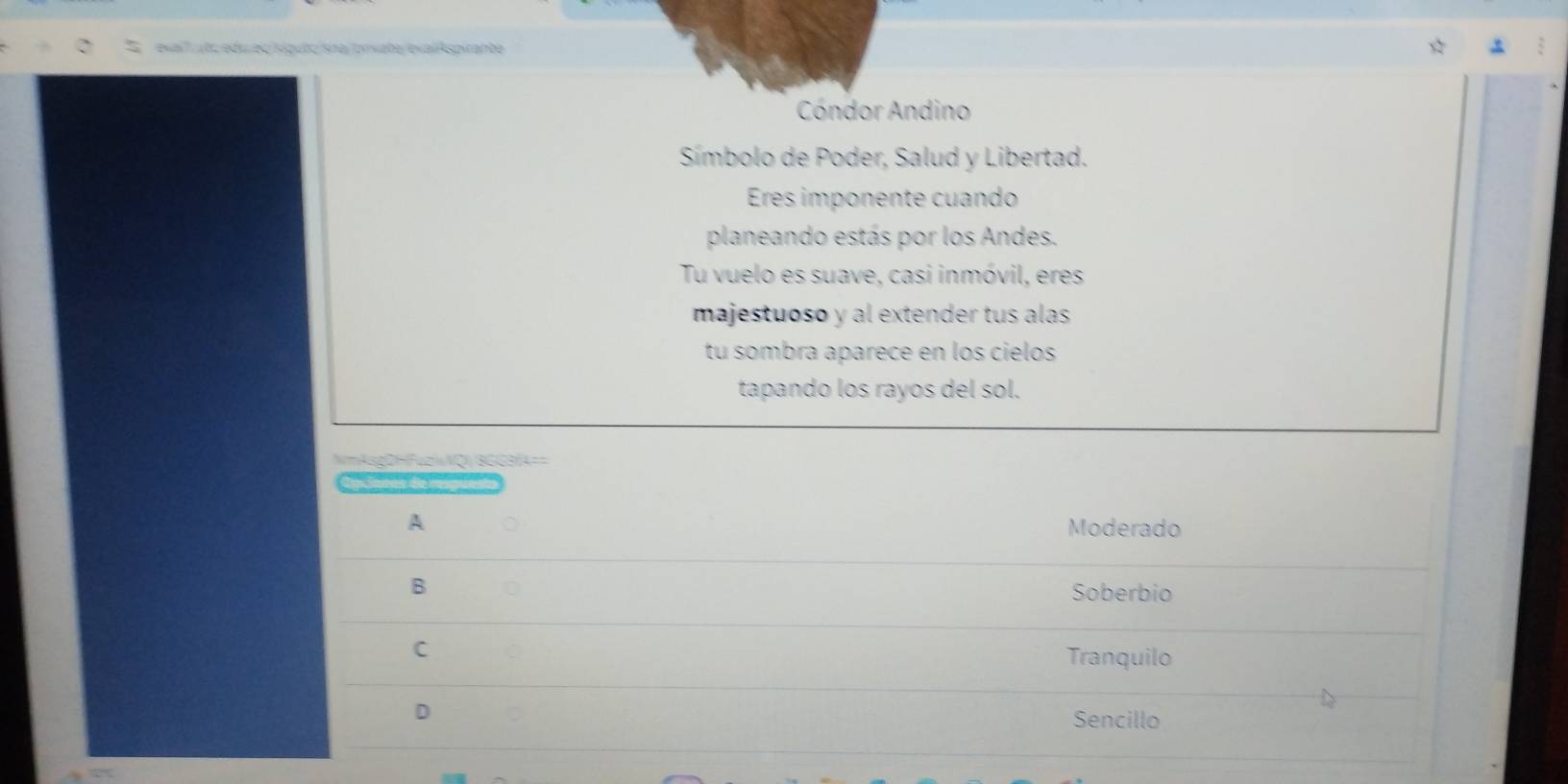 exal7(tc edu ec siguto/ snajprxate/ exalkspirante
Cóndor Andino
Símbolo de Poder, Salud y Libertad.
Eres imponente cuando
planeando estás por los Andes.
Tu vuelo es suave, casi inmóvil, eres
majestuoso y al extender tus alas
tu sombra aparece en los cielos
tapando los rayos del sol.
=mAsgDHFuzwNQI BGG3fA==
daclaras de respue
A Moderado
B
Soberbio
C
Tranquilo
D
Sencillo