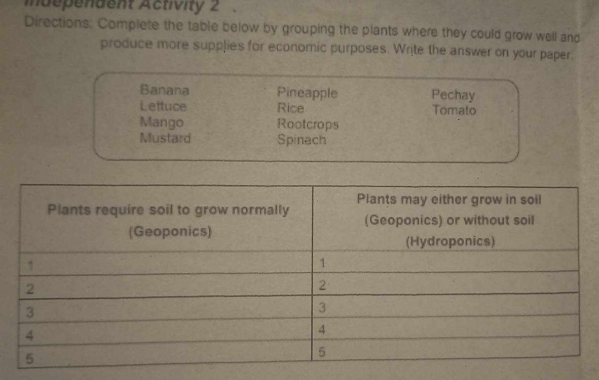 independent Activity 2 
Directions: Complete the table below by grouping the plants where they could grow well and 
produce more supplies for economic purposes. Write the answer on your paper. 
Banana Pineapple Pechay 
Lettuce Rice Tomato 
Mango Rootcrops 
Mustard Spinach