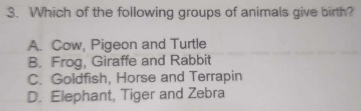 Which of the following groups of animals give birth?
A. Cow, Pigeon and Turtle
B. Frog, Giraffe and Rabbit
C. Goldfish, Horse and Terrapin
D. Elephant, Tiger and Zebra