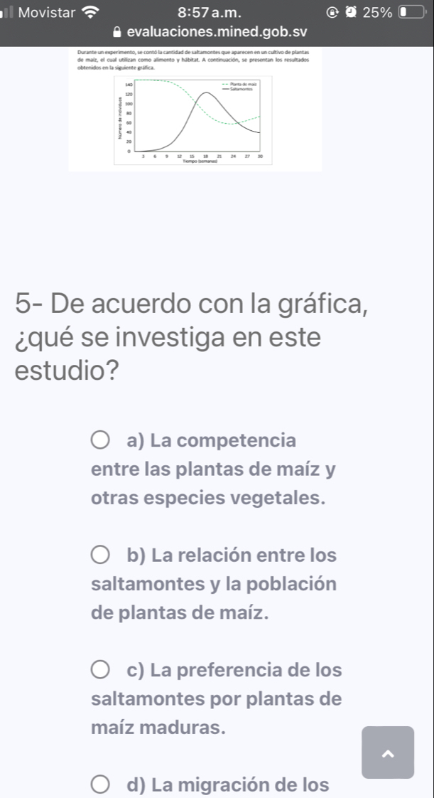 Movistar 8:57a.m. 25%
▲ evaluaciones.mined.gob.sv
Durante un experimento, se contó la cantidad de saltamontes que aparecen en un cultivo de plantas
obtenidos en la siguiente gráfica.
540 == Planta de maía
4
: 4
4
3 18 24 27 90
5- De acuerdo con la gráfica,
¿qué se investiga en este
estudio?
a) La competencia
entre las plantas de maíz y
otras especies vegetales.
b) La relación entre los
saltamontes y la población
de plantas de maíz.
c) La preferencia de los
saltamontes por plantas de
maíz maduras.
d) La migración de los