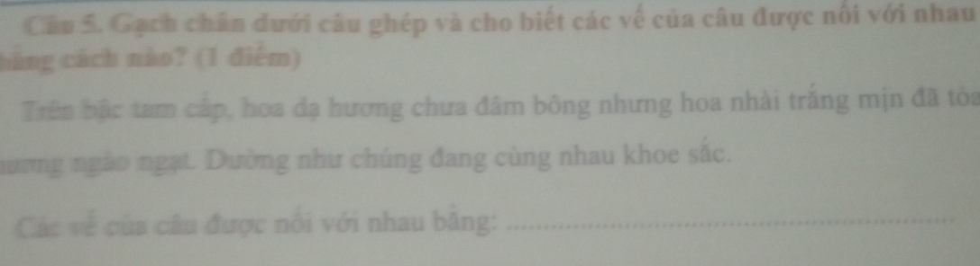 Gạch chân dưới câu ghép và cho biết các về của câu được nổi với nhau 
háng cách nào? (1 điểm) 
Trên bậc tam cáp, hoa đạ hương chưa đâm bông nhưng hoa nhài trắng mịn đã tòa 
hường ngào ngạt. Dường như chúng đang cùng nhau khoe sắc. 
Các về của câu được nổi với nhau băng:_