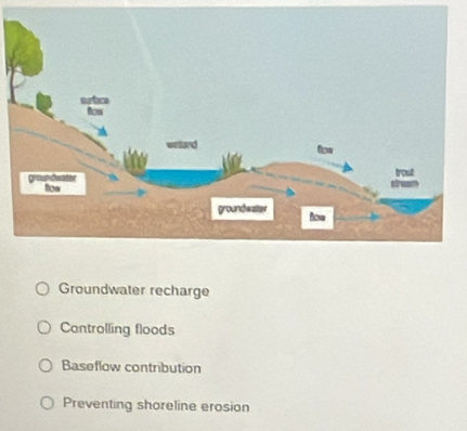 Groundwater recharge
Controlling floods
Baseflow contribution
Preventing shoreline erosion