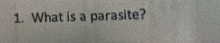 What is a parasite?