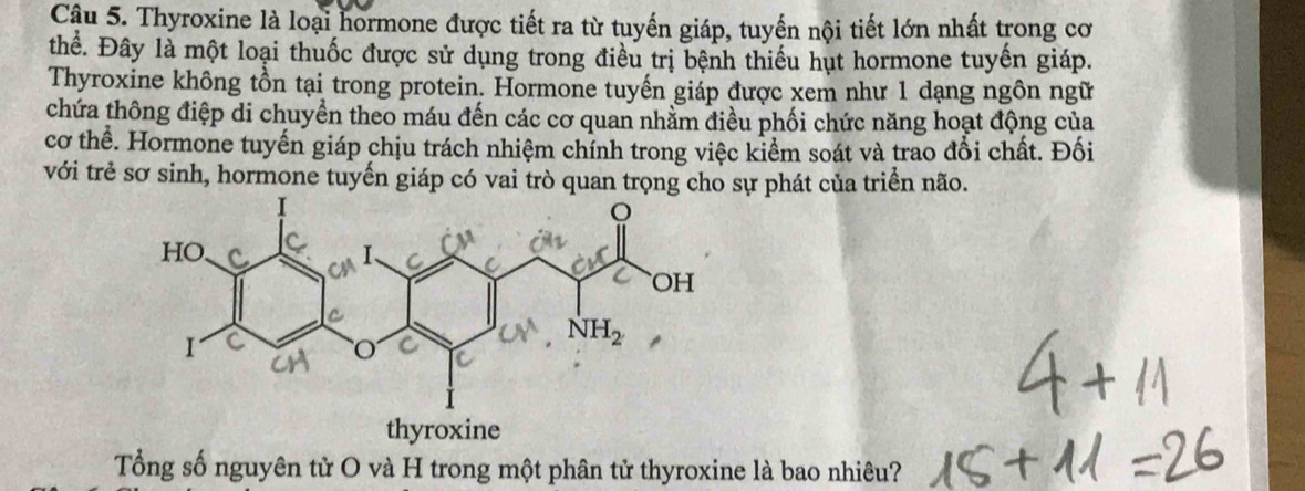 Cậu 5. Thyroxine là loại hormone được tiết ra từ tuyến giáp, tuyển nội tiết lớn nhất trong cơ
thể. Đây là một loại thuốc được sử dụng trong điều trị bệnh thiếu hụt hormone tuyến giáp.
Thyroxine không tồn tại trong protein. Hormone tuyến giáp được xem như 1 dạng ngôn ngữ
chứa thông điệp di chuyển theo máu đến các cơ quan nhằm điều phối chức năng hoạt động của
cơ thể. Hormone tuyến giáp chịu trách nhiệm chỉnh trong việc kiểm soát và trao đổi chất. Đối
với trẻ sơ sinh, hormone tuyến giáp có vai trò quan trọng cho sự phát của triển não.
Tổng số nguyên tử O và H trong một phân tử thyroxine là bao nhiêu?