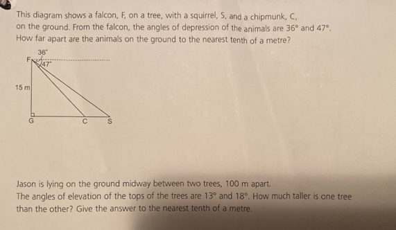 Solved: This diagram shows a falcon, F, on a tree, with a squirrel, S ...