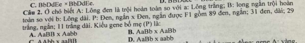 C. BbDdEe×BbDdEe.
Câu 2. Ở chó biết A: Lông đen là trội hoàn toàn so với a: Lông trắng; B: long ngắn trội hoàn
toàn so với b: Lông dài. P : Đen, ngắn x Đen, ngắn được F1 gồm 89 đen, ngắn; 31 đen, dài; 29
trắng, ngắn; 11 trắng dài. Kiểu gene bố mẹ (P) là:
A. AaBB x Aabb B. AaBb x AaBb
C. AAbb x aaBB D. AaBb x aabb A gong A: vàng