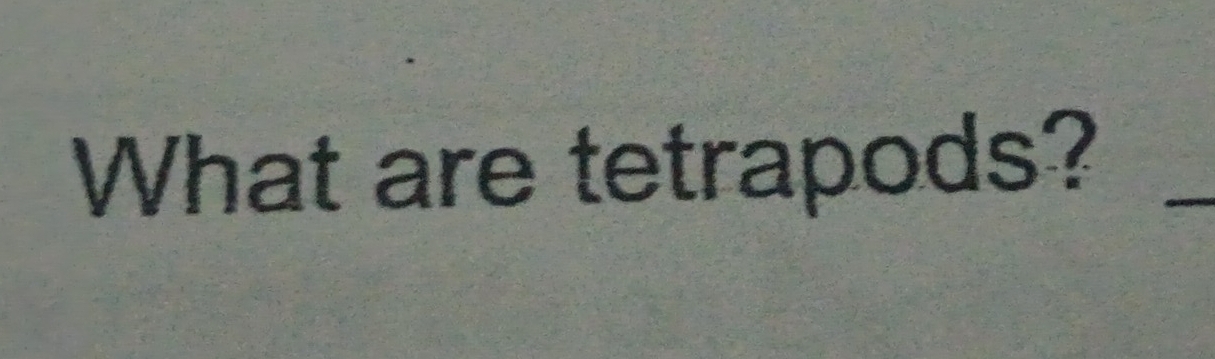 What are tetrapods?_