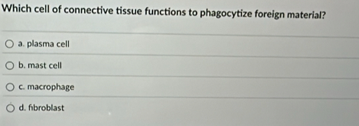 Which cell of connective tissue functions to phagocytize foreign material?
a. plasma cell
b. mast cell
c. macrophage
d. fbroblast