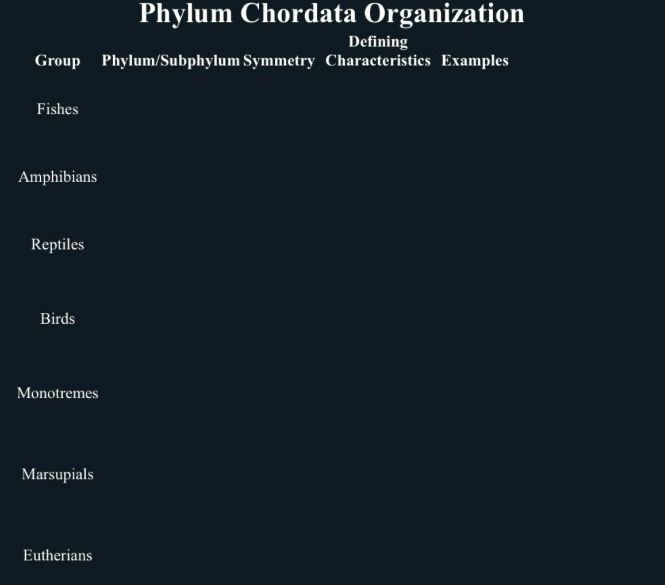 Phylum Chordata Organization
Defining
Group Phylum/Subphylum Symmetry Characteristics Examples
Fishes
Amphibians
Reptiles
Birds
Monotremes
Marsupials
Eutherians