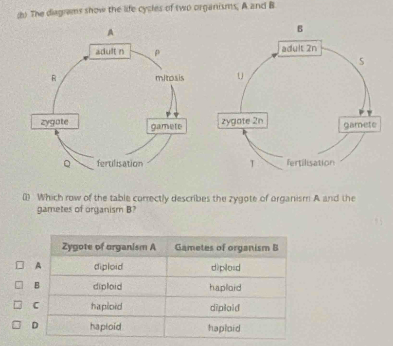 The diagrams show the life cycles of two organisms, A and B
() Which row of the table correctly describes the zygote of organism A and the 
gametes of organism B?