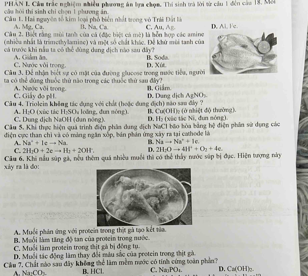 PHẢN I. Câu trắc nghiệm nhiều phương án lựa chọn. Thí sinh trả lời từ câu 1 đến câu 18. Mớt
câu hỏi thí sinh chỉ chọn 1 phương án.
Câu 1. Hai nguyên tổ kim loại phổ biến nhất trong vỏ Trái Đất là
A. Mg, Ca. B. Na, Ca. C. Au, Ag. D. Al, Fe.
Câu 2. Biết rằng mùi tanh của cá (đặc biệt cá mè) là hỗn hợp các amine
(nhiều nhất là trimethylamine) và một số chất khác. Để khử mùi tanh của
cá trước khi nấu ta có thể dùng dung dịch nào sau đây?
A. Giấm ăn. B. Soda.
C. Nước vôi trong. D. Xút.
Câu 3. Để nhận biết sự có mặt của đường glucose trong nước tiểu, người
ta có thể dùng thuốc thử nào trong các thuốc thử sau đây?
A. Nước vôi trong. B. Giấm.
C. Giấy đo pH. D. Dung dịch AgNO_3.
Câu 4. Triolein không tác dụng với chất (hoặc dung dịch) nào sau dây ?
A. H_2O (xúc tác H_2SO_4 loãng, dun nóng). B. Cu(OH)_2 (ở nhiệt độ thường).
C. Dung dịch NaOH (đun nóng). D. H_2 (xúc tác Ni, đun nóng).
Câu 5. Khi thực hiện quá trình điện phân dung dịch NaCl bão hòa bằng hệ điện phân sử dụng các
điện cực than chì và có màng ngăn xốp, bán phản ứng xảy ra tại cathode là
A. Na^++1eto Na. B. Nato Na^++1e.
C. 2H_2O+2eto H_2+2OH^-. D. 2H_2Oto 4H^++O_2+4e.
Câu 6. Khi nấu súp gà, nếu thêm quá nhiều muối thì có thể thấy nước súp bị đục. Hiện tượng này
xảy ra là do:
A. Muối phản ứng với protein trong thịt gà tạo kết tủa.
B. Muối làm tăng độ tan của protein trong nước.
C. Muối làm protein trong thịt gà bị đông tụ.
D. Muối tác động làm thay đổi màu sắc của protein trong thịt gà.
Câu 7. Chất nào sau đây không thể làm mềm nước có tính cứng toàn phần?
A. Na_2CO_3. B. HCl. C. Na_3PO_4. D. Ca(OH)_2.