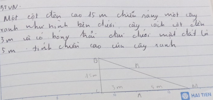 BT VN. 
Mot cot clen cao 15 m chic nany mot cay 
xanh whe hinh bìn duòi cay lach cor clen
3m i cǒ bong hái dài cluòi mat dad l
5m finh chien cao cin cay ranh 
B 
B 
ASm
3m s m M
C
15
5
A