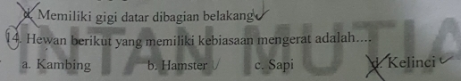 Memiliki gigi datar dibagian belakang
4. Hewan berikut yang memiliki kebiasaan mengerat adalah.
a. Kambing b. Hamster c. Sapi d. Kelinci