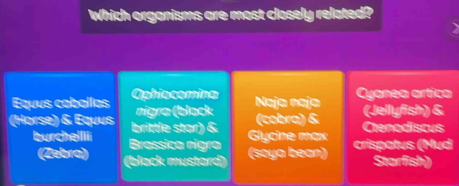 Which organisms are most closely related?
Equus caballas Ophiocomina
Cyanea artica
nigra (black Naja naja
(cobra) & (Jellyfish) &
(Horse) & Equus brittle star) & Ctenodiscus
Glycine max crispatus (Mud
burchellii Brassica nigra
(Zebra) (black mustard) (soya bean) Starfish)