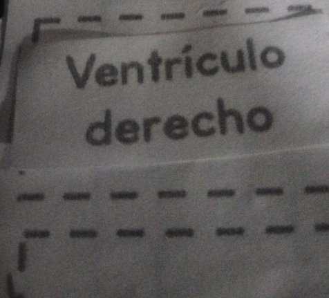 Ventrículo 
derecho