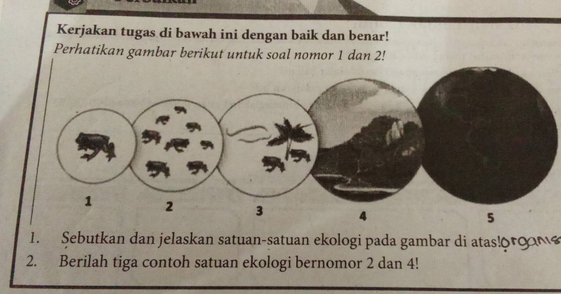 Kerjakan tugas di bawah ini dengan baik dan benar! 
Perhatikan gambar berikut untuk soal nomor 1 dan 2! 
1. Sebutkan dan jelaskan satuan-satuan ekologi pada gambar di atas!0 9
2. Berilah tiga contoh satuan ekologi bernomor 2 dan 4!