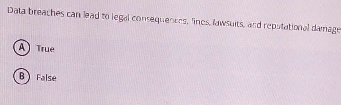 Data breaches can lead to legal consequences, fines, lawsuits, and reputational damage
A) True
B False