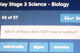 Key Stage 3 Science - Biology
43 of 57 36√ 8
Which of these does NOT have a nucleus?
salmonella algae amoeba