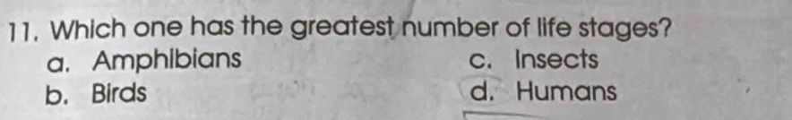 Which one has the greatest number of life stages?
a.Amphibians c. Insects
b. Birds d. Humans