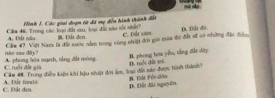 Khoạng vật
thứ cập
Hình 1. Các giai đoạn từ đá mẹ đến hình thành đất
Cầu 46. Trong các loại đất sau, loại đất nào tốt nhất?
A. Đất nấu. B. Đất đen. C. Đất xám D. Đất đô
Cầu 47. Việt Nam là đất nước nằm trong vùng nhiệt đới gió mùa thì đất sẽ có những đặc điểm
nào sau đây?
A. phong hóa mạnh, tầng đất móng.
B. phong hóa yểu, tầng đất dày.
D. tuổi đất trẻ.
C. tuổi đất giả
Câu 48. Trong điều kiện khí hậu nhiệt đới âm, loại đất nào được hình thành?
B. Đất Pốt-dôn.
A. Dat feralit.
C. Đất đen.
D. Đất đài nguyên.