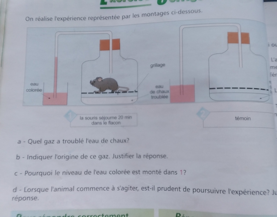 On réalise l'expérience représentée par les montages ci-dessous, 
i ou 
La 
m 
fér 
la souris séjourne 20 min témoin 
dans le flacon 
a - Quel gaz a troublé l'eau de chaux? 
b - Indiquer l'origine de ce gaz. Justifier la réponse. 
c - Pourquoi le niveau de l'eau colorée est monté dans 1? 
d - Lorsque l'animal commence à s'agiter, est-il prudent de poursuivre l'expérience? Ju 
réponse.