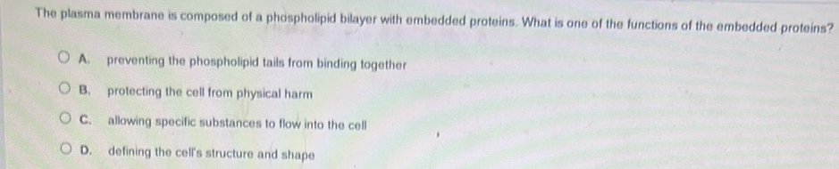 The plasma membrane is composed of a phospholipid bilayer with embedded proteins. What is one of the functions of the embedded proteins?
A. preventing the phospholipid tails from binding together
B. protecting the cell from physical harm
C. allowing specific substances to flow into the cell
D. defining the cell's structure and shape