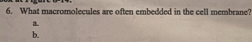 What macromolecules are often embedded in the cell membrane? 
a. 
b.