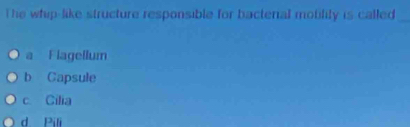 The whip like structure responsible for bacterial motility is called_
a Flagellum
b Capsule
c. Cilia
d Pil