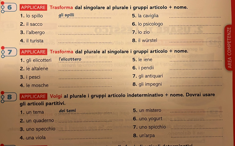 APPLICARE Trasforma dal singolare al plurale i gruppi articolo + nome. 
1. lo spillo gli spilli _5. la caviglia_ 
2. il sacco _6. lo psicologo_ 
3. l'albergo _7. lo zio_ 
4. il turista _8. il würstel_ 
7 APPLICARE Trasforma dal plurale al singolare i gruppi articolo + nome. 
1. gli elicotteri l'elicottero_ 5. le iene_ 
2. le altalene _6. i pendii_ 
> 
3. i pesci _7. gli antiquari_ 
4. le mosche _8. gli impegni_ 
8 APPLICARE Volgi al plurale i gruppi articolo indeterminativo + nome. Dovrai usare 
gli articoli partitivi. 
1. un tema dei temi_ _5. un mistero_ 
2. un quaderno _6. uno yogurt_ 
3. uno specchio _7. uno spicchio_ 
4. una viola _8. un'arpa_