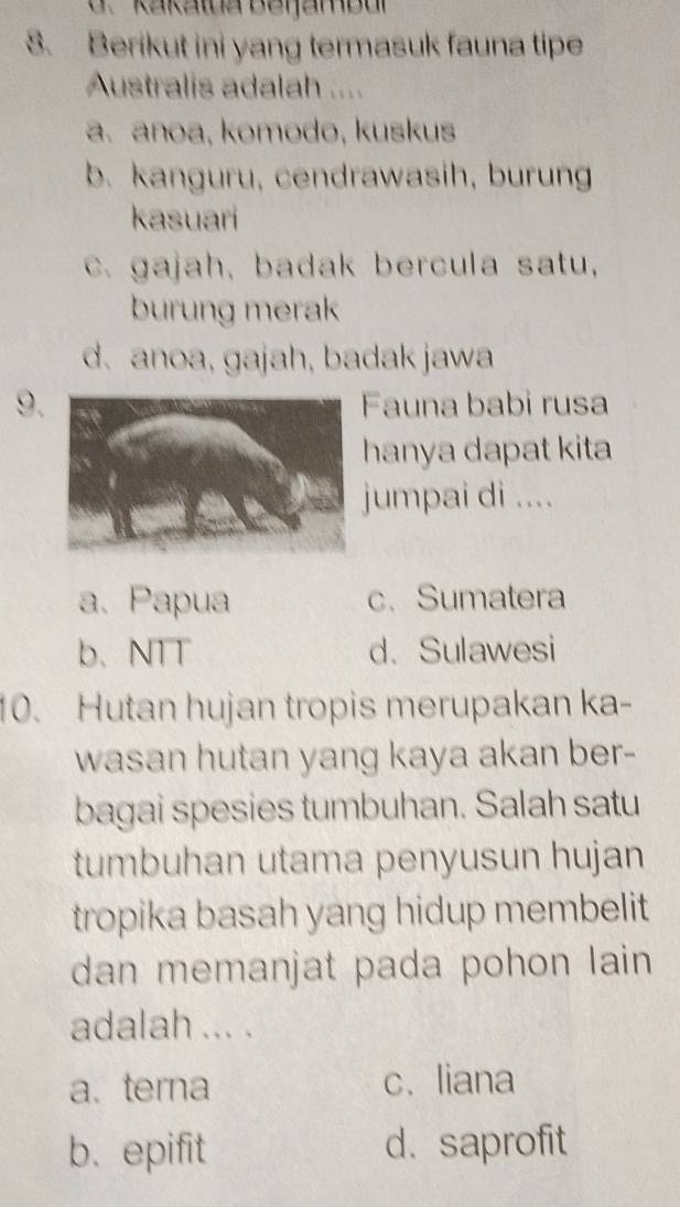 Kakatua Beiambul
8. Berikut ini yang termasuk fauna tipe
Australis adalah ....
a. anoa, komodo, kuskus
b. kanguru, cendrawasih, burung
kasuari
c. gajah, badak bercula satu,
burung merak
d. anoa, gajah, badak jawa
9.Fauna babi rusa
hanya dapat kita
jumpai di ....
a. Papua c. Sumatera
b. NTT d. Sulawesi
10. Hutan hujan tropis merupakan ka-
wasan hutan yang kaya akan ber-
bagai spesies tumbuhan. Salah satu
tumbuhan utama penyusun hujan
tropika basah yang hidup membelit 
dan memanjat pada pohon lain 
adalah ... .
a. terna c. liana
b. epifit d. saprofit