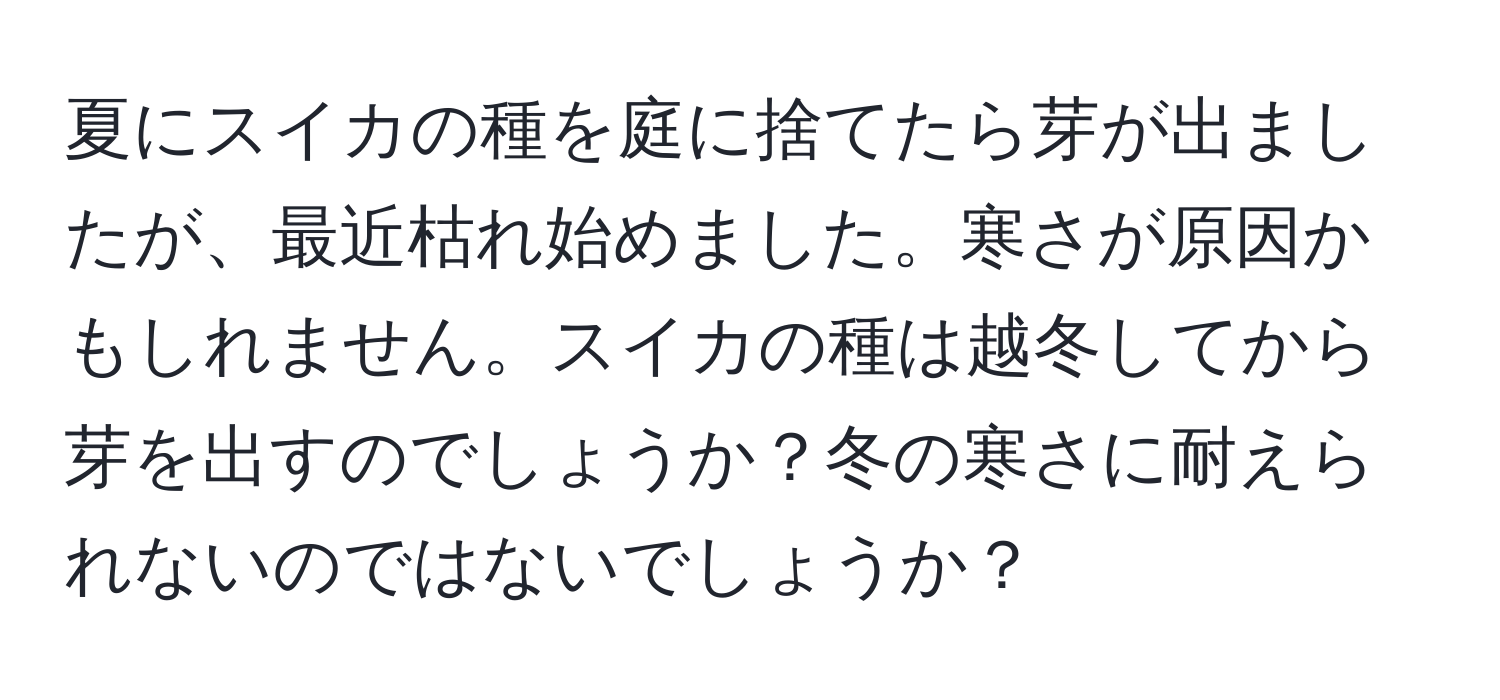 夏にスイカの種を庭に捨てたら芽が出ましたが、最近枯れ始めました。寒さが原因かもしれません。スイカの種は越冬してから芽を出すのでしょうか？冬の寒さに耐えられないのではないでしょうか？