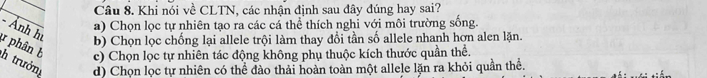 Khi nói về CLTN, các nhận định sau đây đúng hay sai?
a) Chọn lọc tự nhiên tạo ra các cá thể thích nghi với môi trường sống.
- Ảnh hu
b) Chọn lọc chống lại allele trội làm thay đổi tần số allele nhanh hơn alen lặn.
c) Chọn lọc tự nhiên tác động không phụ thuộc kích thước quần thể.
phân b h trưởng d) Chọn lọc tự nhiên có thể đào thải hoàn toàn một allele lặn ra khỏi quần thể.