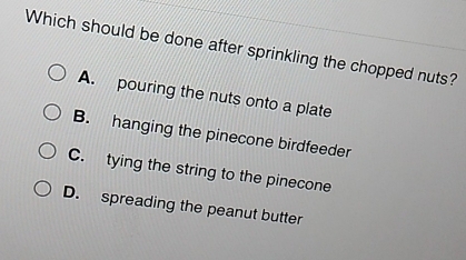 Which should be done after sprinkling the chopped nuts?
A. pouring the nuts onto a plate
B. hanging the pinecone birdfeeder
C. tying the string to the pinecone
D. spreading the peanut butter